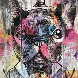 Bulldog francais Pop Art